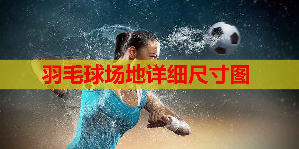 羽毛球场地详细尺寸图