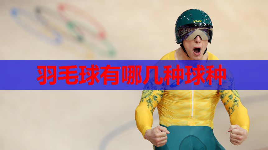 羽毛球有哪几种球种