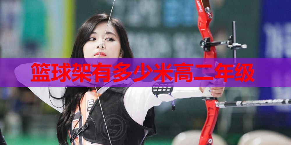篮球架有多少米高二年级