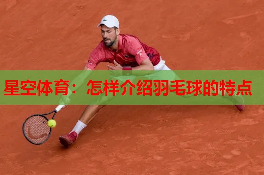 星空体育：怎样介绍羽毛球的特点