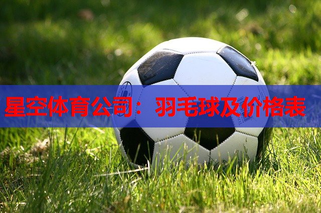 星空体育公司：羽毛球及价格表