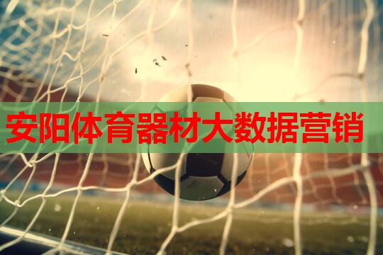 安阳体育器材大数据营销