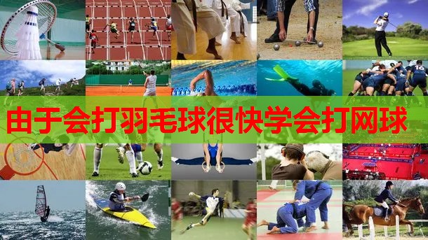 由于会打羽毛球很快学会打网球