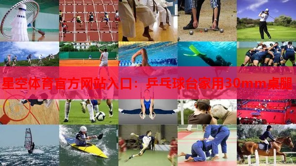 星空体育官方网站入口：乒乓球台家用30mm桌腿