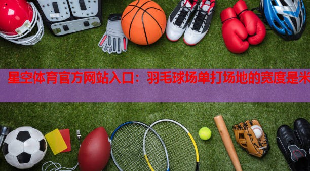 星空体育官方网站入口：羽毛球场单打场地的宽度是米