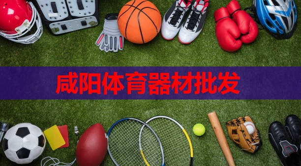 咸阳体育器材批发