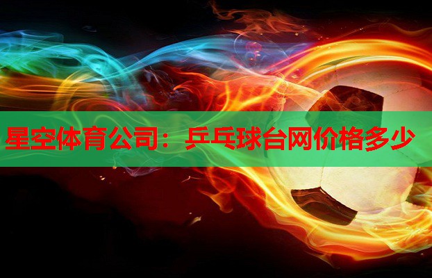 星空体育公司：乒乓球台网价格多少