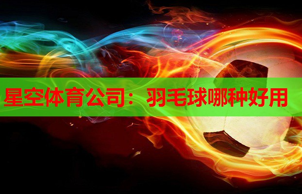 星空体育公司：羽毛球哪种好用