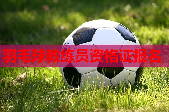 羽毛球教练员资格证报名