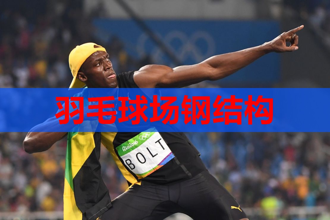 羽毛球场钢结构