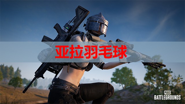 亚拉羽毛球