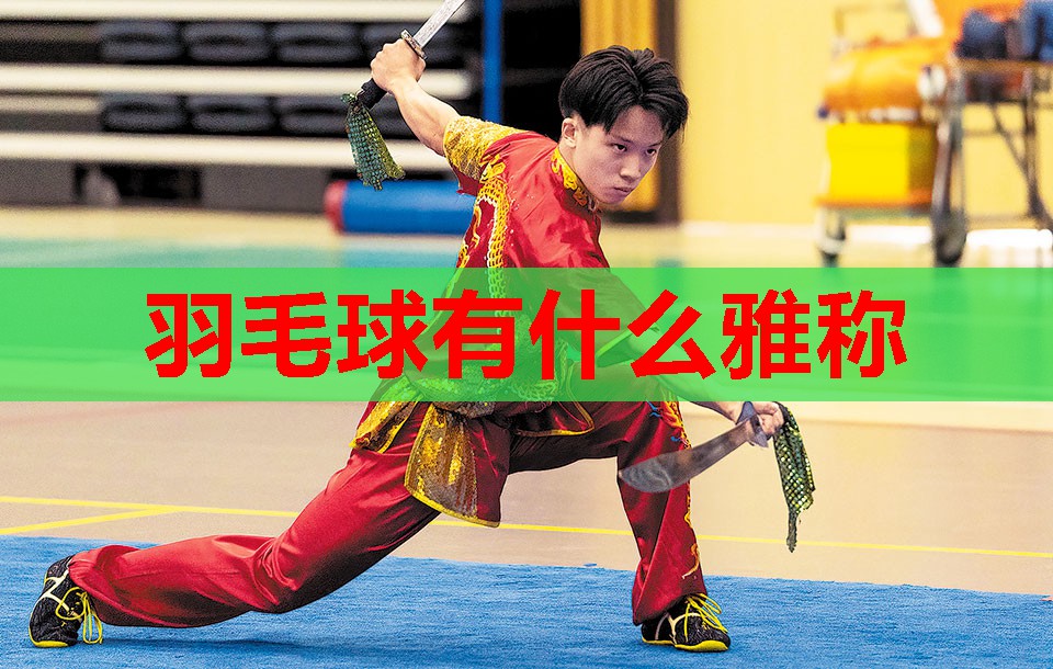 羽毛球有什么雅称