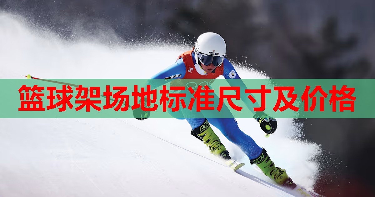 篮球架场地标准尺寸及价格