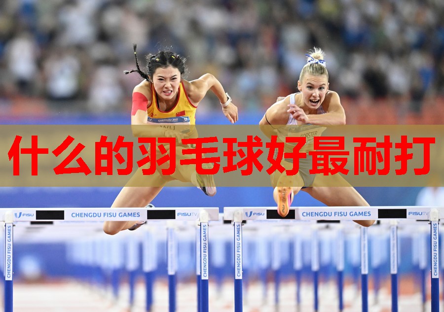 什么的羽毛球好最耐打 什么的羽毛球好最耐打