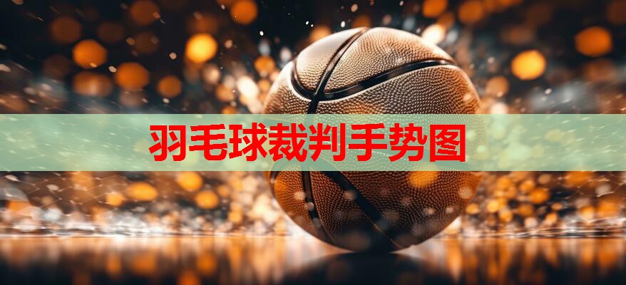 羽毛球裁判手势图 羽毛球裁判手势图