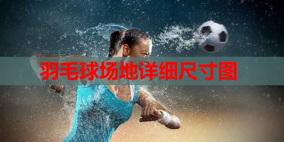 羽毛球场地详细尺寸图 羽毛球场地详细尺寸图