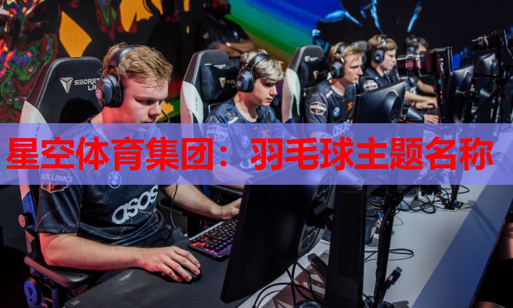 羽毛球主题名称 羽毛球主题名称