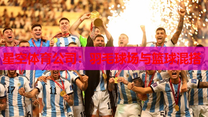 羽毛球场与篮球混搭 羽毛球场与篮球混搭