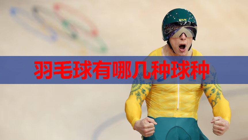羽毛球有哪几种球种 羽毛球有哪几种球种