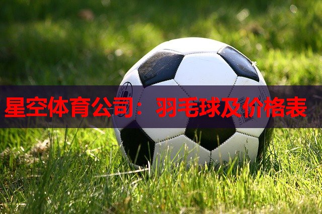 羽毛球及价格表 羽毛球及价格表