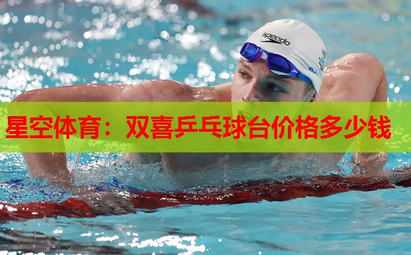 双喜乒乓球台价格多少钱