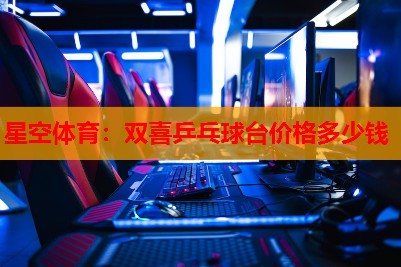 双喜乒乓球台价格多少钱