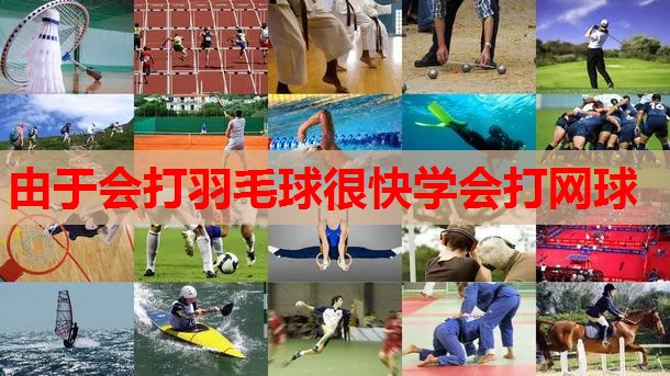 由于会打羽毛球很快学会打网球 由于会打羽毛球很快学会打网球
