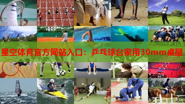 乒乓球台家用30mm桌腿 乒乓球台家用30mm桌腿