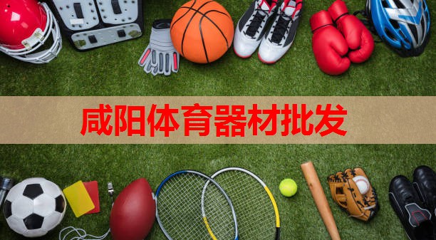 咸阳体育器材批发 咸阳体育器材批发