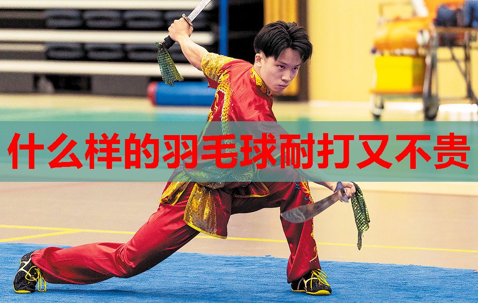 什么样的羽毛球耐打又不贵 什么样的羽毛球耐打又不贵
