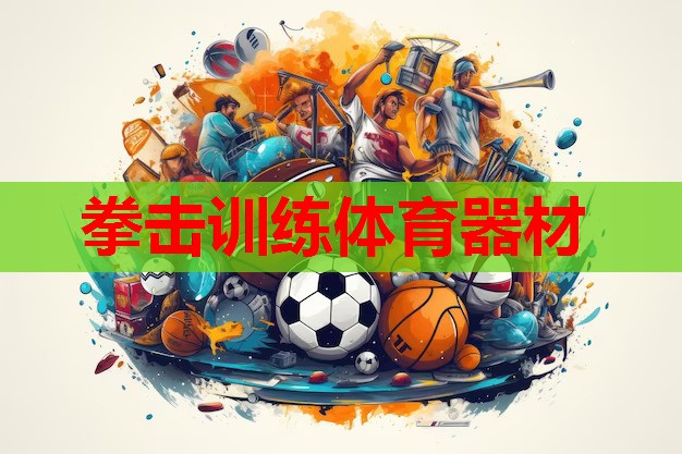 拳击训练体育器材 拳击训练体育器材