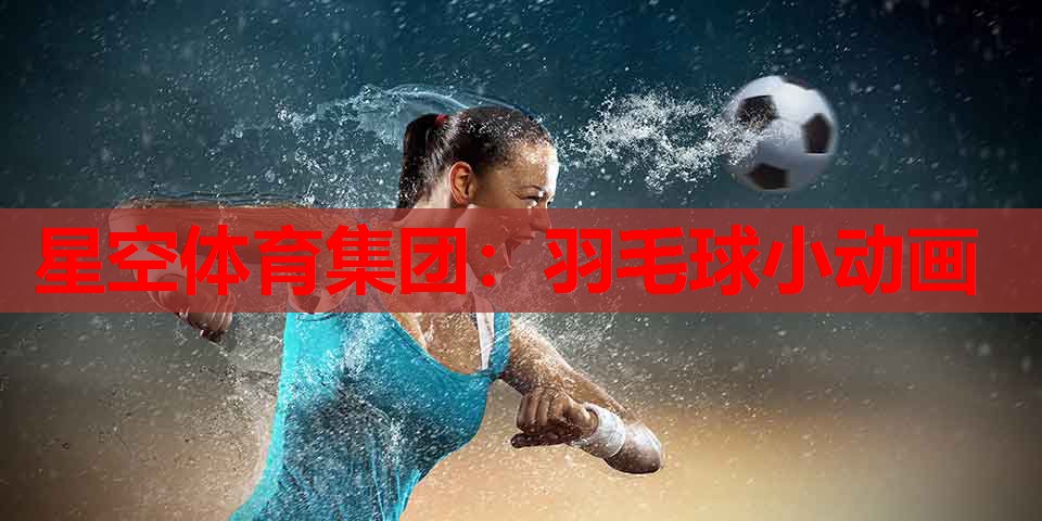 羽毛球小动画 羽毛球小动画