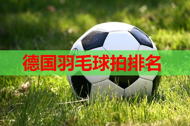 德国羽毛球拍排名 德国羽毛球拍排名