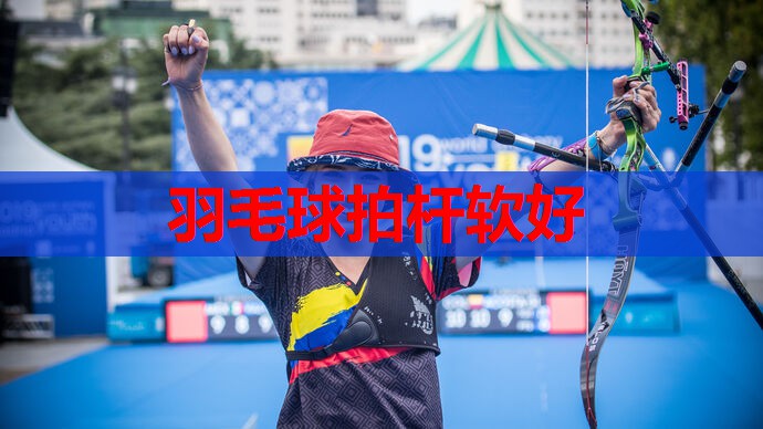 羽毛球拍杆软好 羽毛球拍杆软好