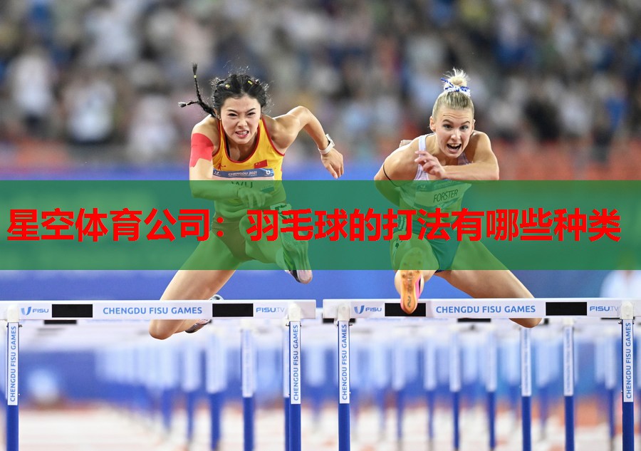 羽毛球的打法有哪些种类 羽毛球的打法有哪些种类