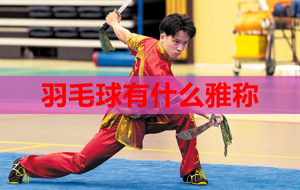 羽毛球有什么雅称 羽毛球有什么雅称