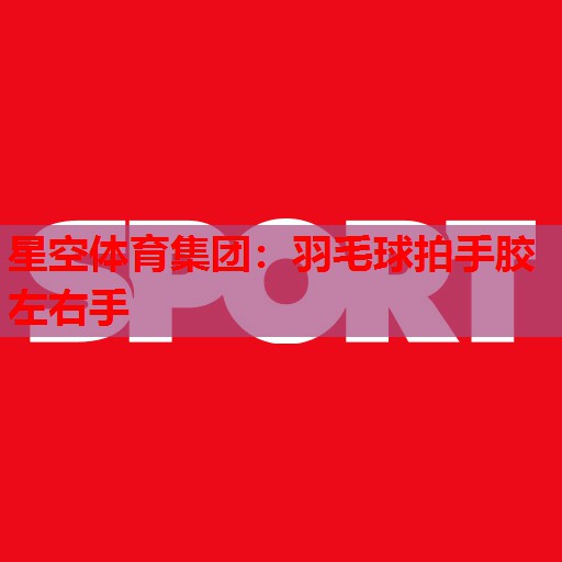 羽毛球拍手胶左右手